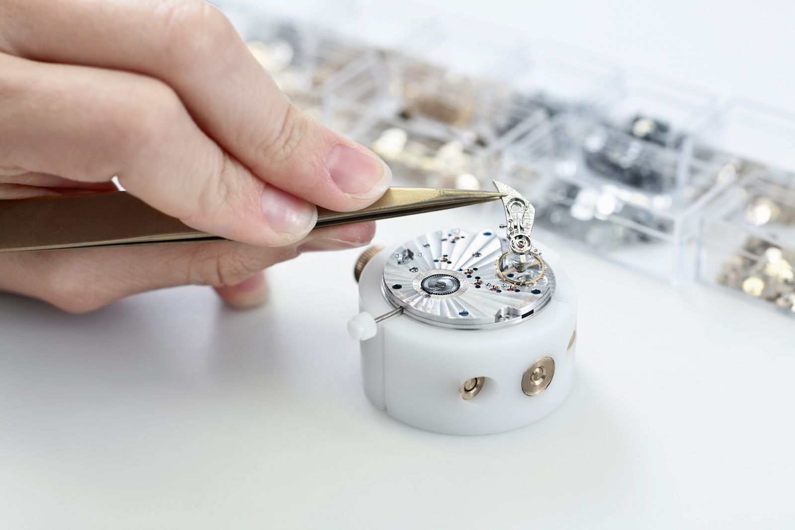 Nomos Movement Making