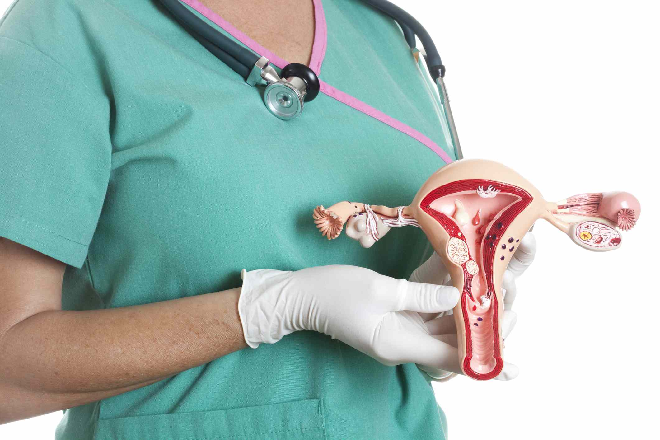 Female Reproductive System