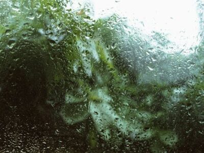 image 1769781179 1