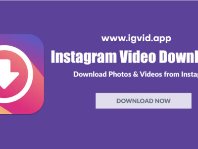 igvid instagram video downloader