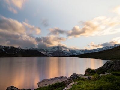 image 1769779587 1