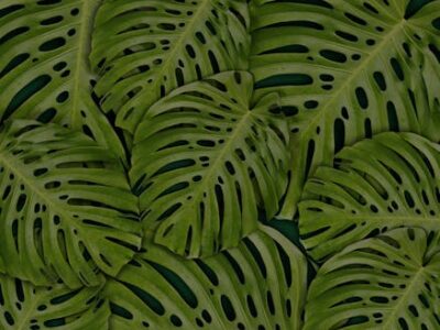 image 1769838871 1