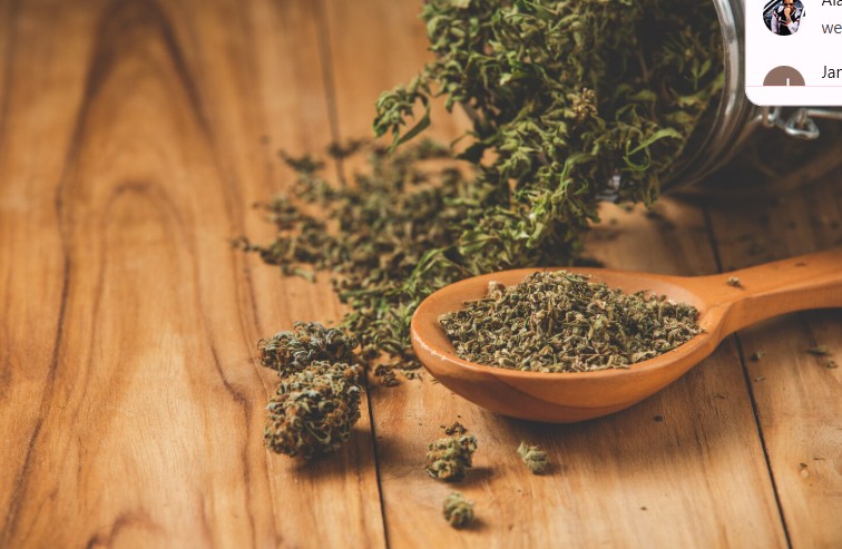 Qualities of a Reputable Cannabis Dispensary