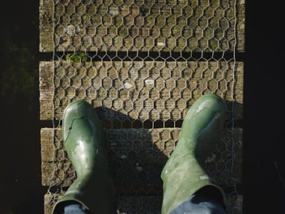 image 1769775807 1