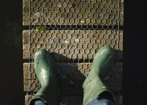 image 1769775807 1