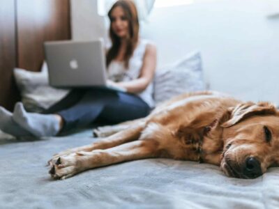 6 Smart Home Technology Innovations to Keep Your Pets Safe